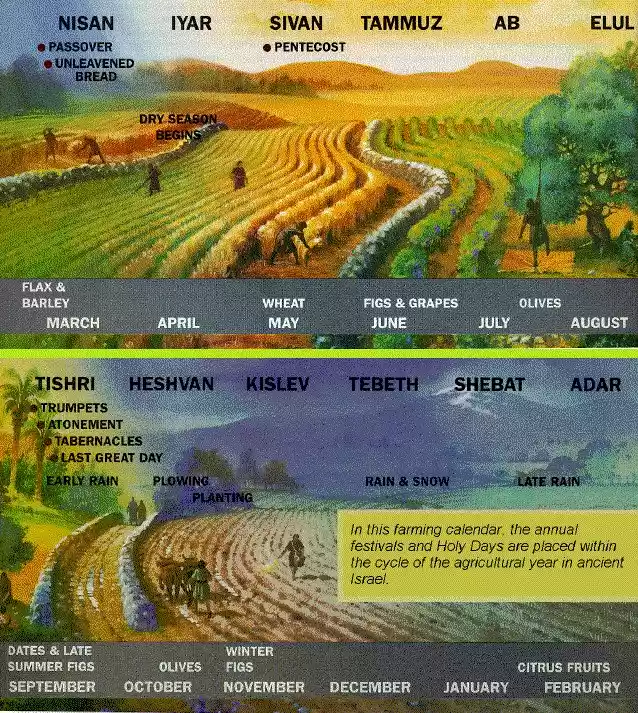 Holy Days & Agriculture Cycle